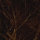 Illustration for article titled 10 Dark Photos of The Lights Turned Out